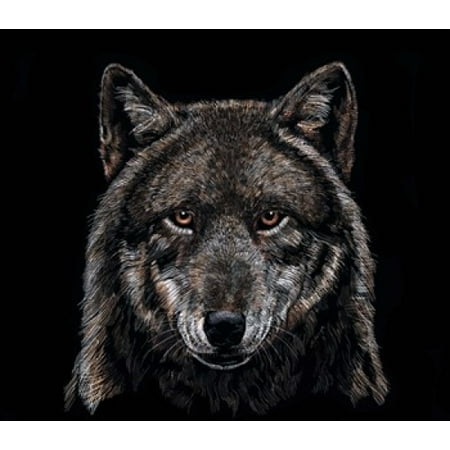 15 Poster Print - From The Shadows Poster Print by Marilyn Barkhouse (15 x 13)