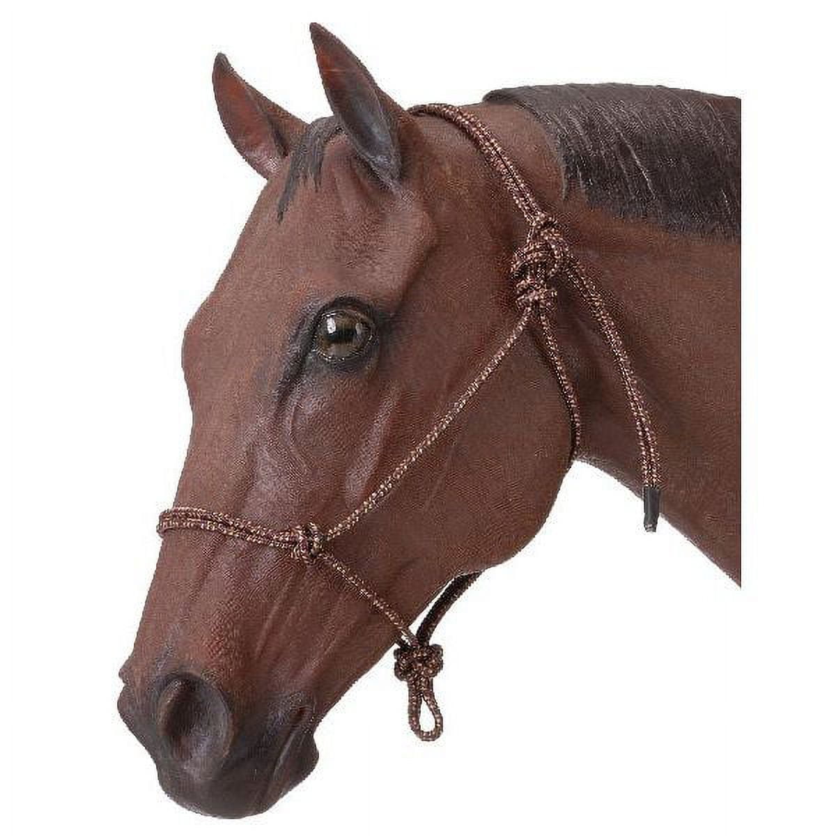 Jeffers Equine Arabian Nylon Horse Halter – Adjustable Equestrian Tack