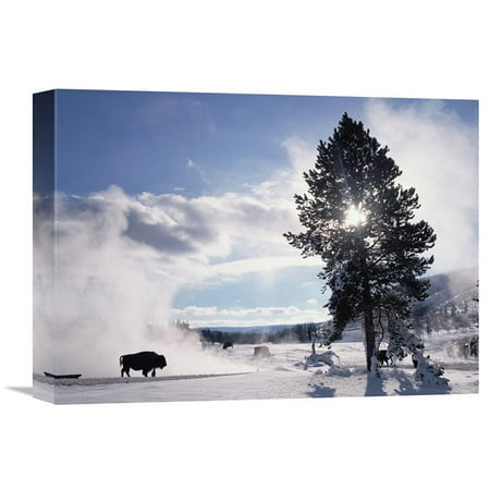 Global Gallery American Bison in Winter Yellowstone National Park Wyoming Wall