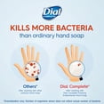 Dial Complete Antibacterial Liquid Hand Soap Refill, Spring Water, 52