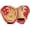 Camel, variant on Rawlings 11.5" Select Pro Lite H-Web Youth Infield Baseball Glove, Right Hand Throw, Kris Bryant Gameday Pattern