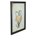 thumbnail image 2 of Northlight Framed Desert Baileya Floral Photo Wall Art- 26” - Black, 2 of 3