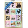thumbnail image 3 of Keith Kimberlin - Puppies - Cuties Grid Wall Poster, 22.375" x 34", 3 of 5