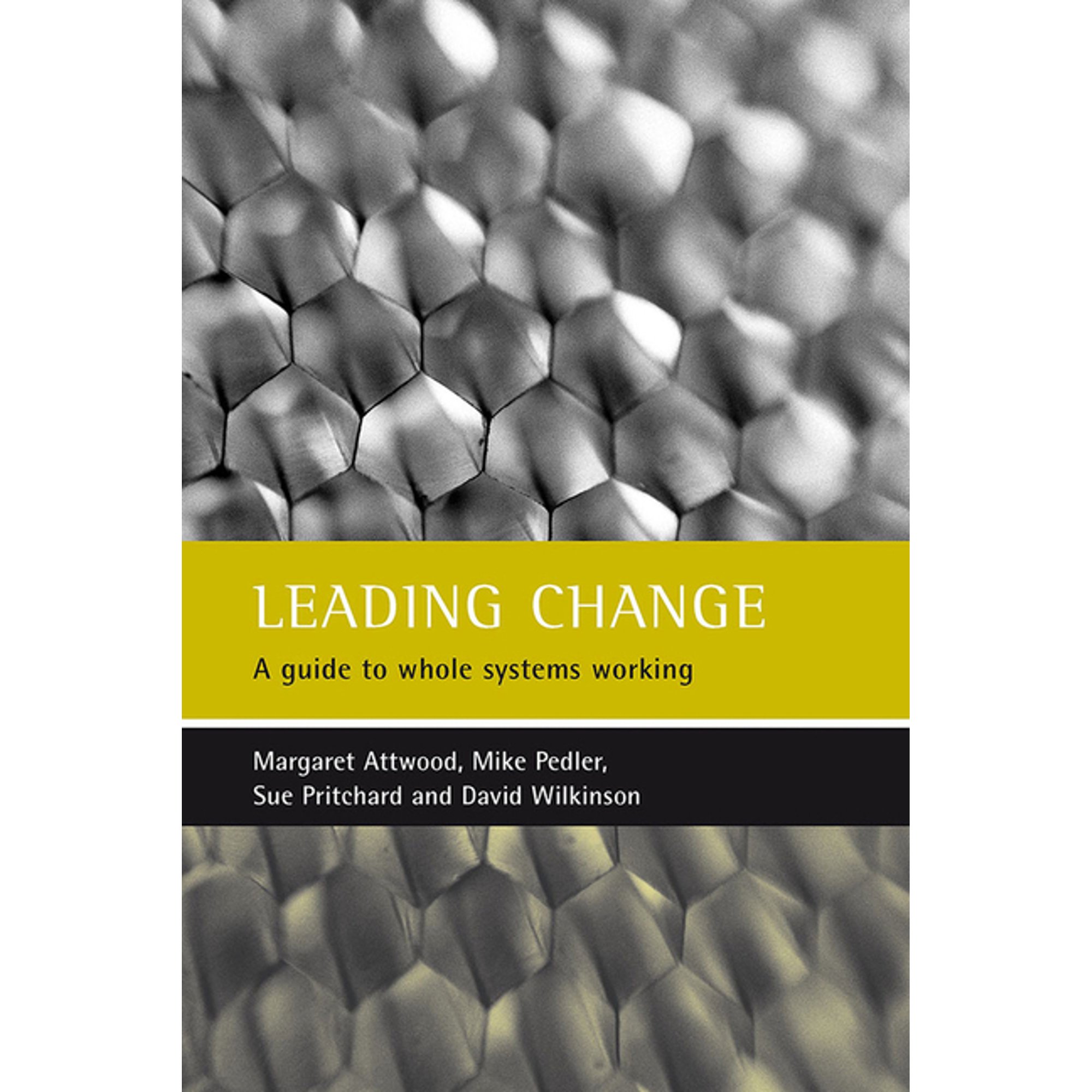 Leading Change: A Guide to Whole Systems Working (Paperback)