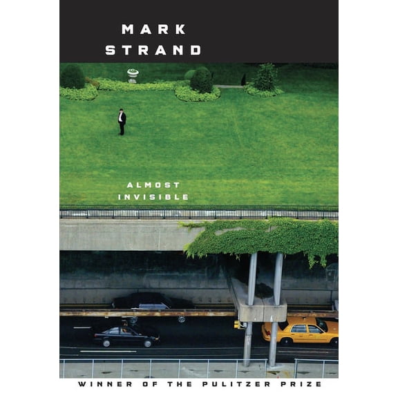Almost Invisible, (Paperback)