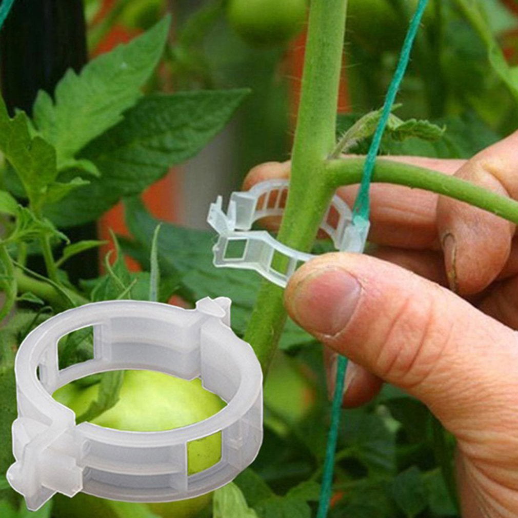 Tivolii Plastic Plant Support Clips 50PCS/Set Vine Tomato Stem Vegetable Fixing Clip Garden Greenhouse Accessories