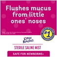 thumbnail image 3 of Little Remedies Sterile Saline Nasal Mist for Noses, Breathe Easy, Safe for Newborns, 3 oz, 3 of 14
