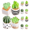 thumbnail image 2 of 12 suculentas artificiales en macetas: adornos realistas de cactus para escritorio, minidecoración verde para oficina, estantería, casa de muñecas, jardín y terrario., 2 of 5
