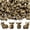 Highland Cow, variant on 50 count Mini Highland Cow Figurines Brass Highland Cow