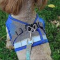 thumbnail image 3 of 26-27 Cat Harness, Cat Harness Escape Proof, 3 of 5