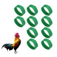 thumbnail image 1 of Cols de Poulet Sans Bruit, Cols de Coq Doux Nylon Réglable Sans Danger pour Empêcher les Poulets de Crier Bleu, Vert, Jaune, 1 of 8
