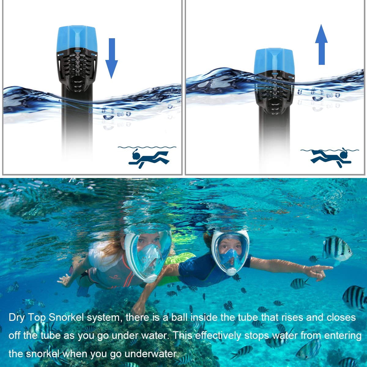 Bfull Adjustable Head Straps Anti-Fog Snorkeling Mask with Action Camera Mount Snorkels, Blue/Black