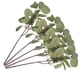 thumbnail image 4 of KAKOWELY 5 hojas artificiales de eucalipto para decoración (verde), 4 of 5