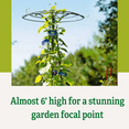 thumbnail image 4 of Gardener's Supply Company 78" Essex Tuteur Trellis, 4 of 8
