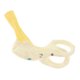 thumbnail image 4 of Modelo de Oído Biología Accesorios de Producto commerce business, 4 of 8