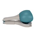 thumbnail image 2 of Dog Feces Picker, Dog Poop Picker Zigzag Notches With Hanging Buckle For Pets L Green, 2 of 8