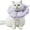 M, variant on PP Cat Cone Collar Cute Waterproof Cat Recovery Collar,Anti-Bite Lick Wound Healing Safety Elizabethan e Collar for Cats Purple Flower All-Season Style