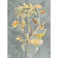 thumbnail image 2 of Art.com Collected Florals I Stretched Canvas Print Wall Art by Chariklia Zarris, 24" x 32", 2 of 4