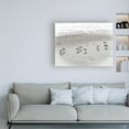 thumbnail image 3 of Trademark Fine Art 'Sandpipers' Canvas Art by Brooke T. Ryan, 3 of 3