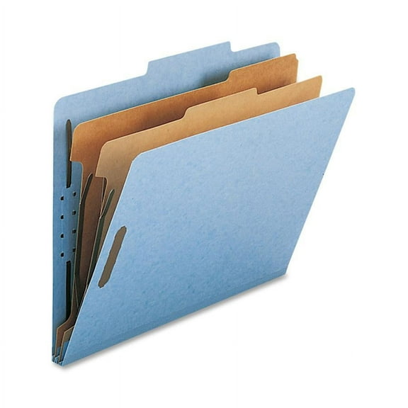 Nature Saver, NATSP17205, 2-Divider Letter Classification Folders, 10 / Box, Blue
