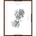 thumbnail image 5 of Art.com Oak Leaf Pencil Sketch II Art Print by Emma Caroline, Brown Frame Wall Art, 23" x 29", 5 of 5