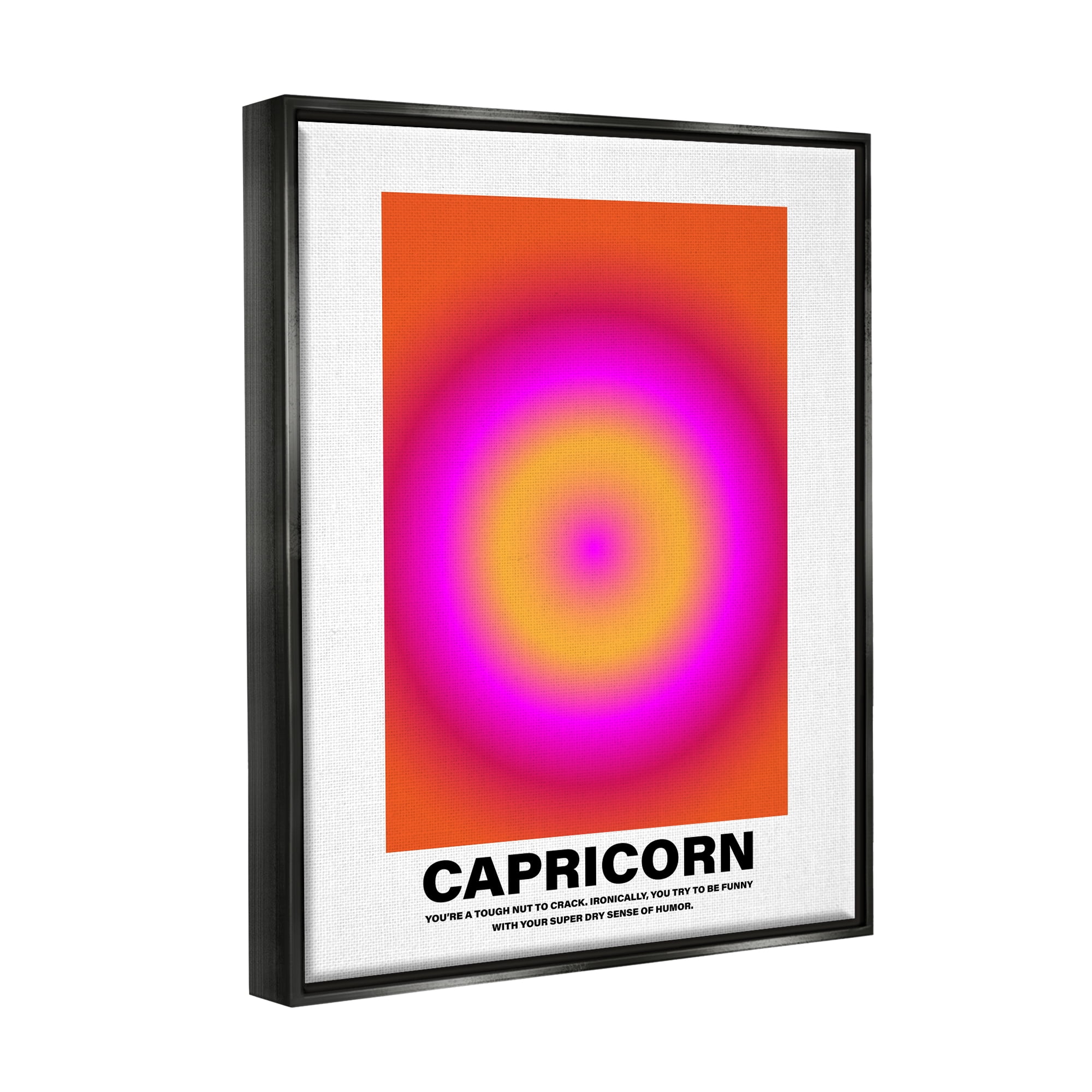 Stupell Industries Funny Capricorn Astrology Abstract Painting Black Floater Framed Canvas Art Print Wall Art, 25 x 31