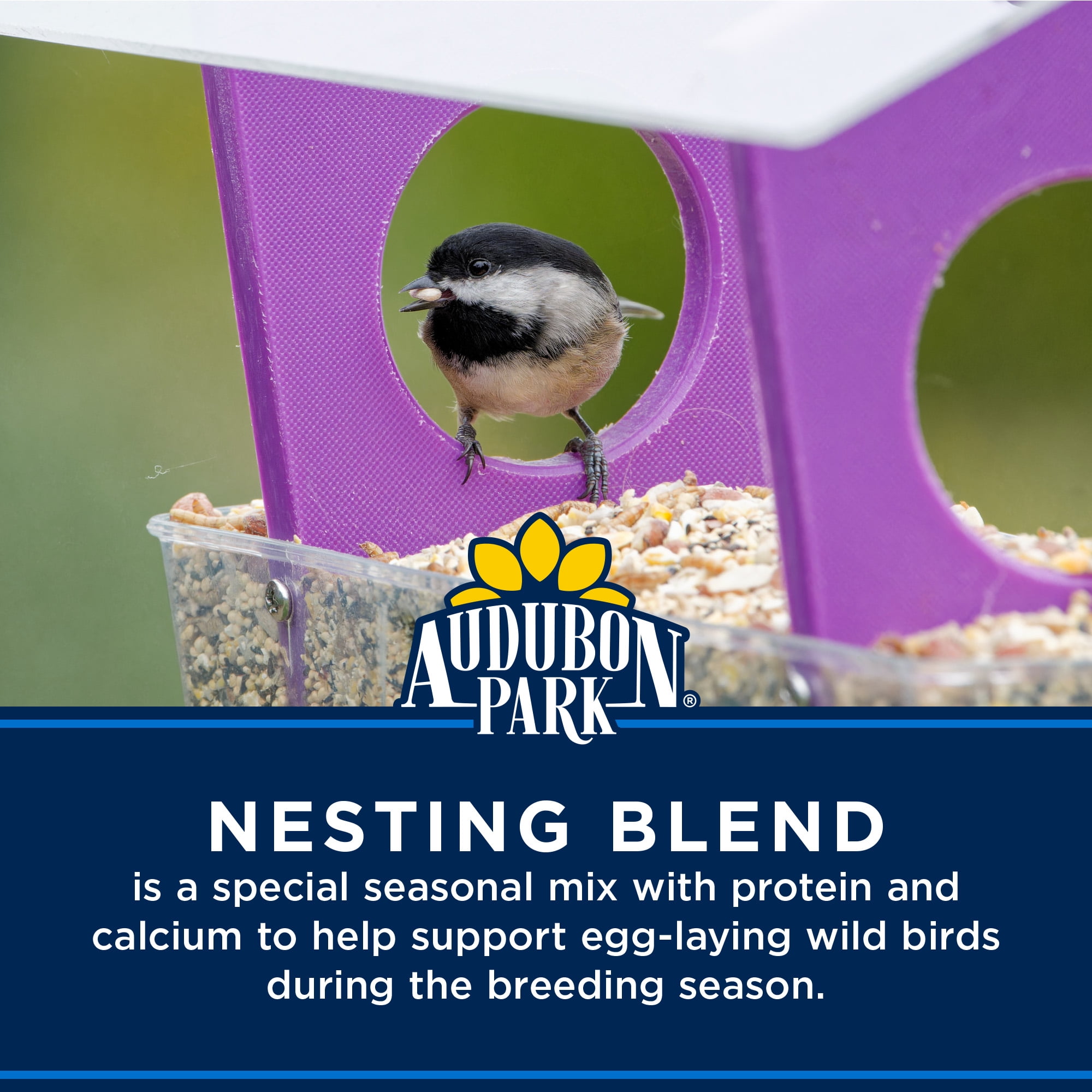 Audubon Park Nesting Blend Wild Bird Seed, Dry, 2 lb. Bag