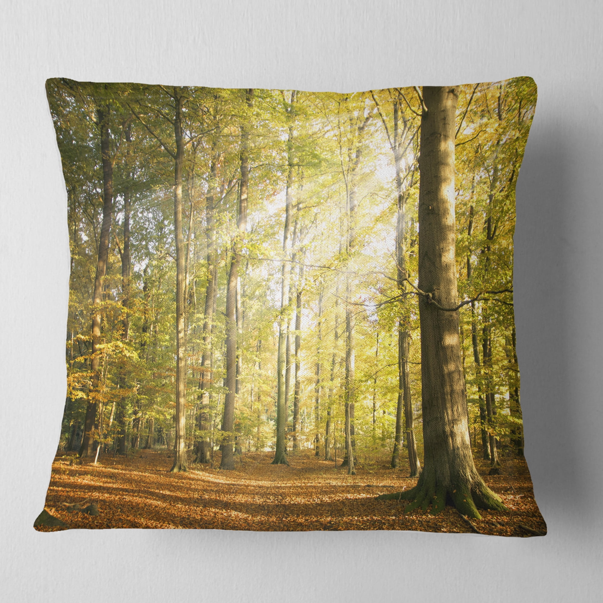 Designart Sun Rays Hitting Forest - Landscape Photography Throw Pillow - 16x16