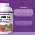 thumbnail image 2 of Natural Factors Kids Chewable Vitamin C 500 mg, Supports Immune Health, Bones, Teeth and Gums, Blueberry, Raspberry and Boysenberry, 180 Wafers, 2 of 6