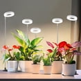 thumbnail image 1 of Grow Lights for Indoor Plants LED Full Spectrum Halo Plant Light Height Adjustable Growing Lamp with Detachable Base H H H Timer Brightness Ideal for Small Plants, 1 of 7