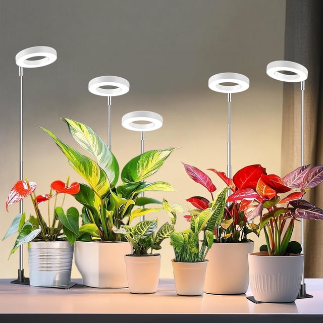 Grow Lights for Indoor Plants LED Full Spectrum Halo Plant Light Height Adjustable Growing Lamp with Detachable Base H H H Timer Brightness Ideal for Small Plants