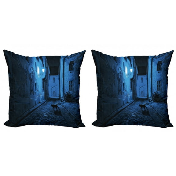 Ambesonne Urban Throw Pillow Cover 2 Pack, Black Cat Deserted Street, 18", Blue Black White