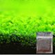 thumbnail image 1 of 50% Off New Aquarium Ornament Plant Seeds Fish Tank Landscape Decoration Water Grass Seed Easy To Grow, 1 of 5