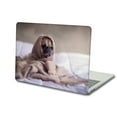 thumbnail image 5 of KSK KAISHEK Plastic Hard Shell Case Cover Only Compatible 2017 - 2014 2013 2012 2011 2010 Release Old MacBook Air 13" Not Retina Display Model: A1369 A1466 Animal A 0035, 5 of 5