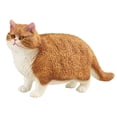 thumbnail image 1 of Juego de figuras de gato, colección de mano de obra fina, figura de gato simulada, adorno de escritorio para fiesta de cumpleaños, recuerdo, juguete Marrón, 1 of 8