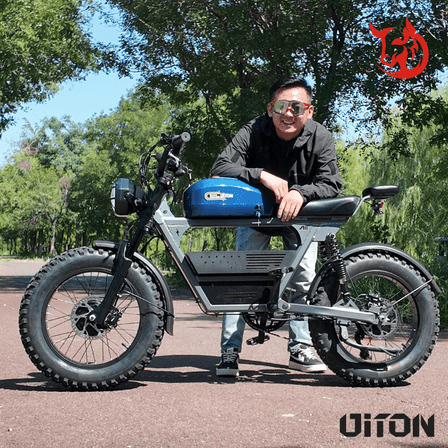 Diton Tank 300 Retro Fat Tire Electric Bike, 48V 3000W Motor, 35Ah Battery, 20" Off-Road E-Bike – US Stock