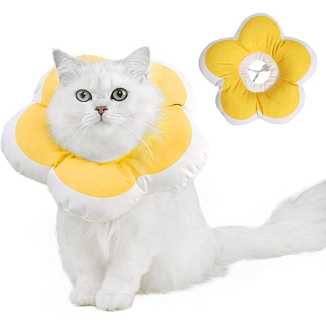 Collar de Recuperación para Gatos TANGJMXG Cono Isabelino Suave Protector para Curación