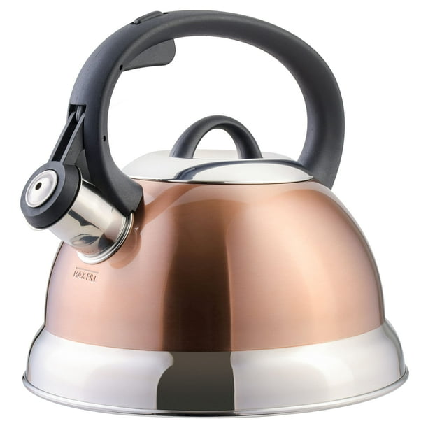 Hervidor de té Mr. Coffee Flintshire de acero inoxidable 1,75 L