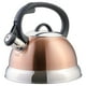 thumbnail image 1 of Hervidor de té Mr. Coffee Flintshire de acero inoxidable 1,75 L, 1 of 6