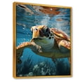 thumbnail image 2 of Designart "Whimsical Turtle: Ocean Explorer I" Animals Turtle Floater Framed Wall Art Prints, 2 of 5