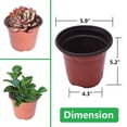 thumbnail image 3 of 100 PCS Nursery Pots Plant Pot, 5.9 inches Plastic Seed Starting Flowerpots for Indoor Plants, 3 of 4
