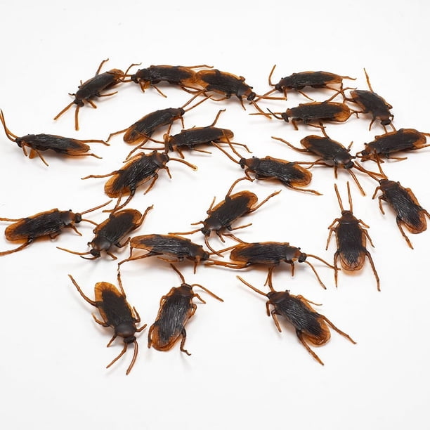 200 Cucarachas Falsas De Broma, Cucarachas Falsas Realistas, | Envío gratis 200 Cucarachas Falsas De Broma, Cucarachas Falsas Realistas, | Envío gratis