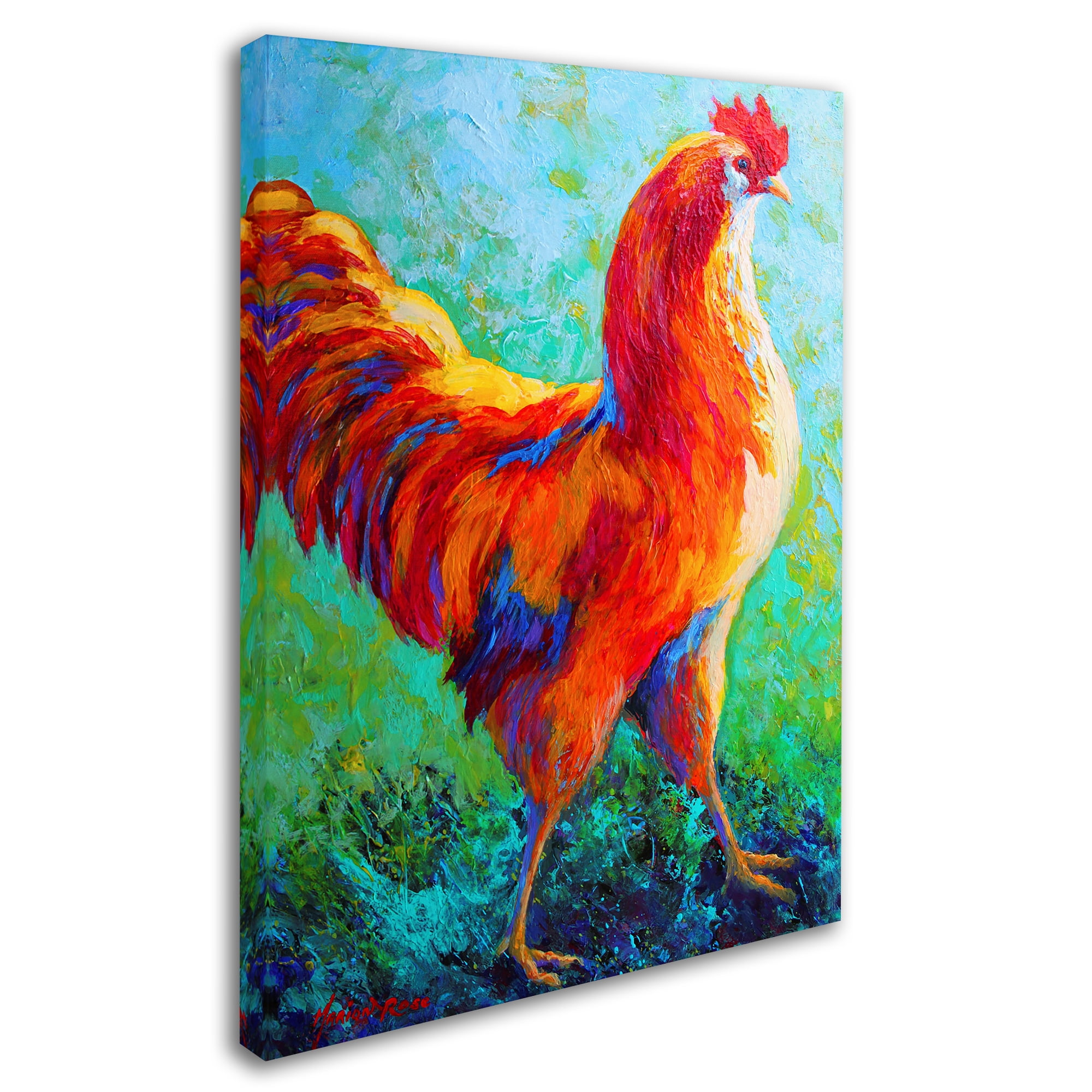Trademark Fine Art 'Narcissus Rooster' Canvas Art by Marion Rose
