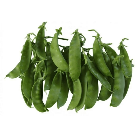 Oregon Giant Snow Pea Seeds- 200 Count Seed Pack - Non-GMO - Finest tasting, most vigorous snow peas. Use them for colorful tasty stir-fry recipes or eat raw. - Country Creek LLC