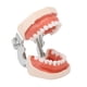 thumbnail image 2 of Cinta para el cabello negra Jadeshay varilla para rizar sin calor 28 piezas modelo dental, 2 of 8