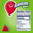 thumbnail image 6 of Watermelon Gum - 12 Count 14 Pcs each, 6 of 6