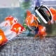 thumbnail image 4 of Herramientas y mejoras para el hogar Raspador magnético para acuarios Cepillo magnético con raspador Herramienta de limpieza de doble cara Adecuado para peceras de 40-60 cm, 4 of 5