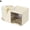 Cream Color, variant on Desk Organiser Stationery Storage Box Pen Pencil Holder Multi Functional O R7O4