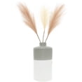 thumbnail image 6 of Heart - 7" Vase with Pampas Grass, 6 of 9