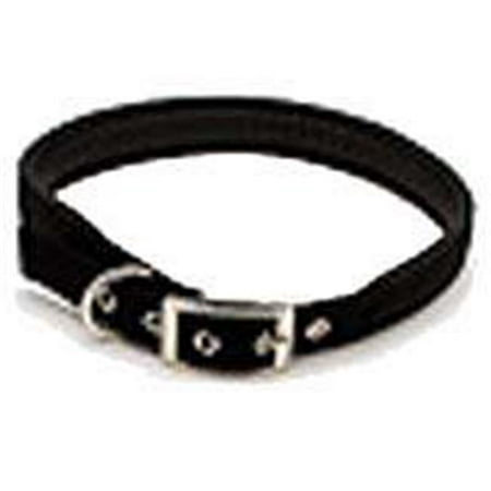 Petmate Aspen PET Products 21370 Nylon Dog Collar, 1 by 24-Inch, Black ...